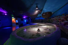 Inbursa Aquarium