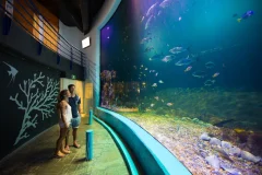 Interactive Aquarium Cancún