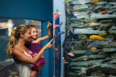 Interactive Aquarium Cancún