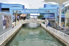 Interactive Aquarium Cancún