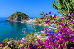 Ischia Day Trips from Naples
