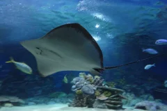 Istanbul Aquarium Florya