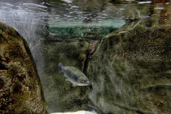 Istanbul Aquarium Florya