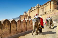 Jaipur City Tours