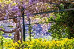 Jardines de Alfabia