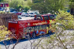 Johannesburg Bus Tours