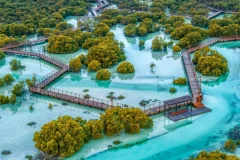 Jubail Mangrove Park