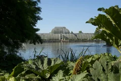 Kew Gardens