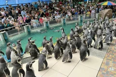 Khao Kheow Open Zoo