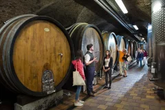 Klosterneuburg Abbey Day Trips from Vienna