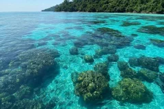 Krabi Cruises