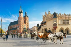Krakow City Tours