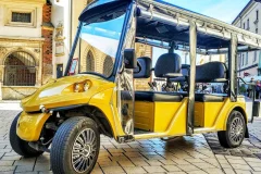 Krakow Golf Carts Tours
