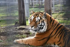 Krakow Zoo