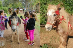 Krazy World Algarve Zoo & Park