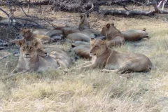 Kruger National Park