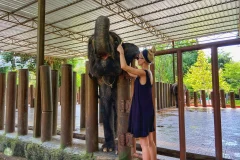 Kuala Gandah Elephant Sanctuary