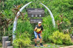 Kuala Gandah Elephant Sanctuary
