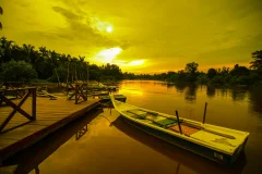 Kuala Selangor Fireflies (Kampung Kuantan)