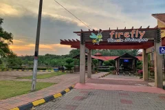 Kuala Selangor Fireflies (Kampung Kuantan)