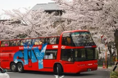 Kyoto Bus Tours