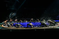 La Perle by Dragone