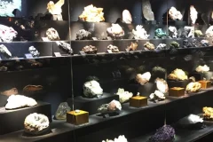 La Specola Museum