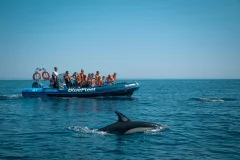 Lagos Day Cruises