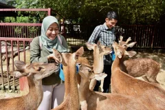 Langkawi Wildlife Park