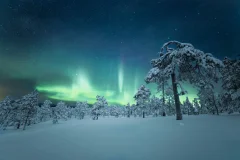 Lapland Winter Activities