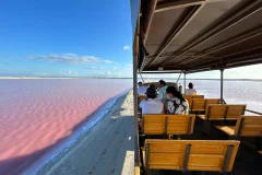 Las Coloradas Day Trips from Cancún