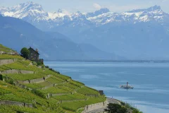 Lausanne Lake Cruises