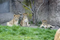 Leipzig Zoo