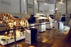 Leonardo3 Museum