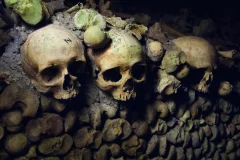 Les Catacombes de Paris