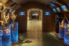 Les Caves du Louvre