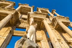 Library of Celsus in Ephesus