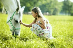 Lipica Stud Farm