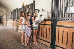Lipica Stud Farm