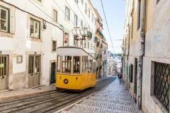 Lisbon City Cards