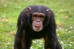 Lisbon Zoo