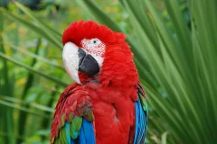 Lisbon Zoo