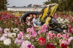 Lisse Drive-It-Yourself Tours