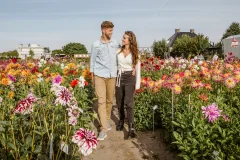Lisse Drive-It-Yourself Tours