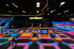 Loco Bear - The Ultimate Entertainment Hub