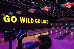 Loco Bear - The Ultimate Entertainment Hub