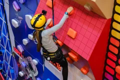Loco Bear - The Ultimate Entertainment Hub