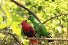 Lombok Wildlife Park
