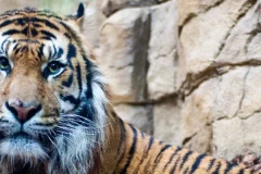 London Zoo