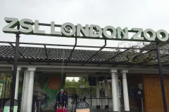 London Zoo